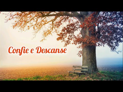 DEVOCIONAL DIÁRIO - Série Todos Por Um - 10/02/22  - Dia 19 - Pr José