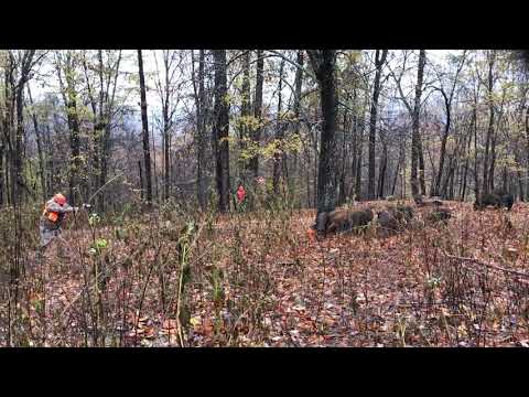 Wild Boar .50cal Desert Eagle