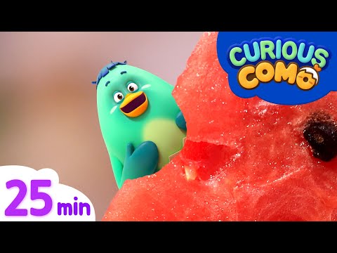 Curious Como | a Watermelon + More Episodes 25min | Cartoon video for kids | Como Kids TV