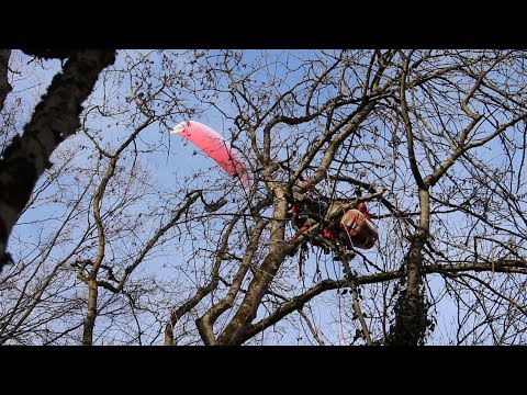Gleitschirmflieger hängt drei Stunden in Baumkrone in der Nähe von Bad Rappenau