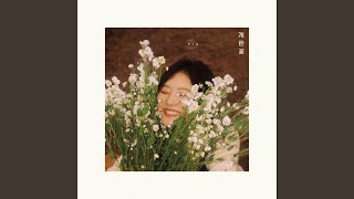 계란꽃 Egg Flowers