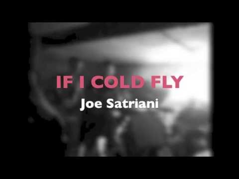 Joe Satriani-If I Could Fly