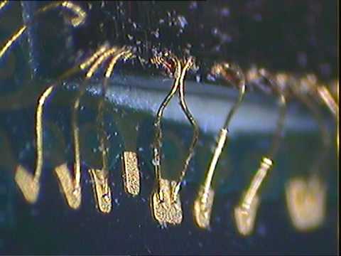 MLT 2250 3d Microscope video capture test 2