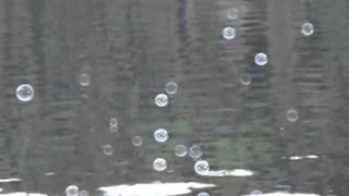 Bubbles.mpg