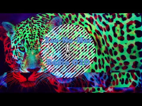 Organic House, AfroHouse, Progressive House, Melodic House | Zoo-Nu-Mar Radio 020 (TSJ sound)