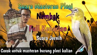 Download lagu masteran pleci nembak kenari mudah ditiru mp3