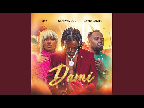 Dami (feat. David Lutalo, Liya) [Remix]