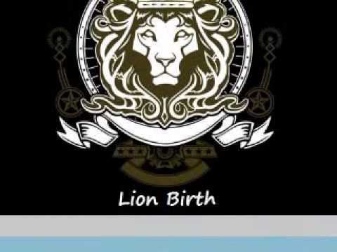 Mat Lion DJ - Lion Birth - HeavyDance