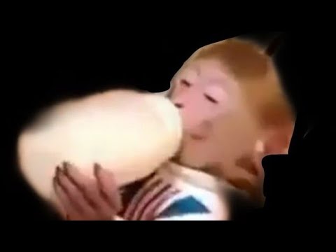 «И Ф Ф О» Thomas Mraz ft. GONE.Fludd & ккоме