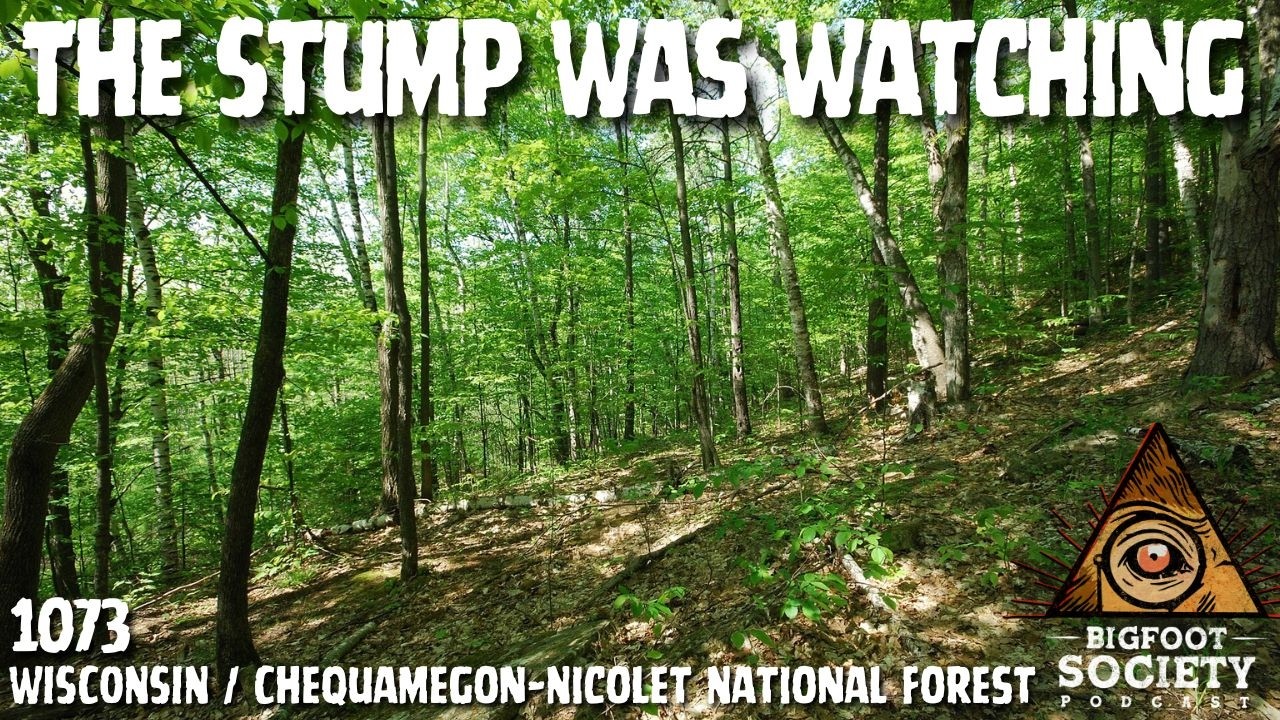 A Northern Wisconsin Landowner Describes The Creature Watching Him Build In The Woods
