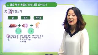[백점맞는과학]12. 3학년 과학 동물의 한살이 여러가지 곤충의 한살이에는 어떤 특징이 있을까요