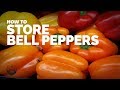 How to Store Bell Peppers for Weeks