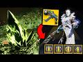 CULL'S SHADOW SECRET EXOTIC MISSIONS + ALL CATALYSTS/TRAITS GUIDE!!
