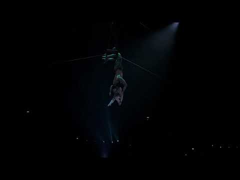 The International Artist Agency - Le Cadre - Festival video