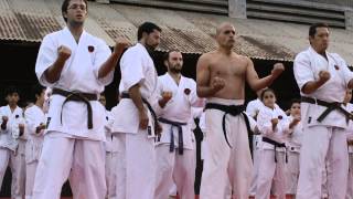 preview picture of video 'Tensho Dojo en Japón en Mendoza 2014 (4)'