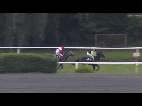 6. dostih - 60. ZLATÝ POHÁR RÁDIA IMPULS - dostihy Velká Chuchle 22. 6. 2019