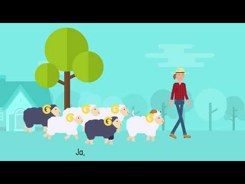 Kleine Lämmer | Kinderlieder zum Mitsingen | Hipke Family Kids