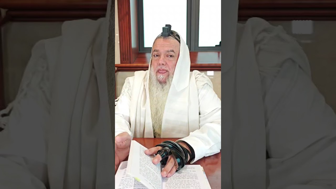 שער הביטחון | סבב שני - פרק 77