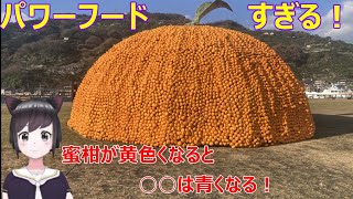 【最強】蜜柑が黄色くなると○○は青くなる！がーんなんか怖くないんな！【みかぬ(蜜柑)解説】
