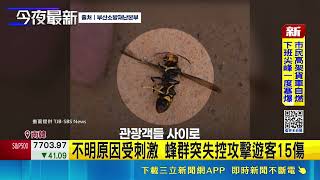 台灣人赴南韓釜山旅遊遭蜂螫！搭松島纜車突遭虎頭蜂攻擊釀5名台人受傷｜三立新聞網 SETN.com