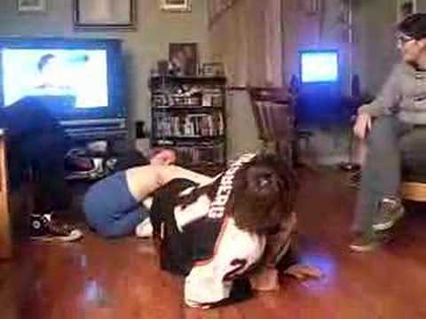 ferraiolo vs ferraiolo