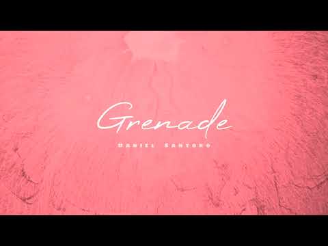 Daniel Santoro - Grenade