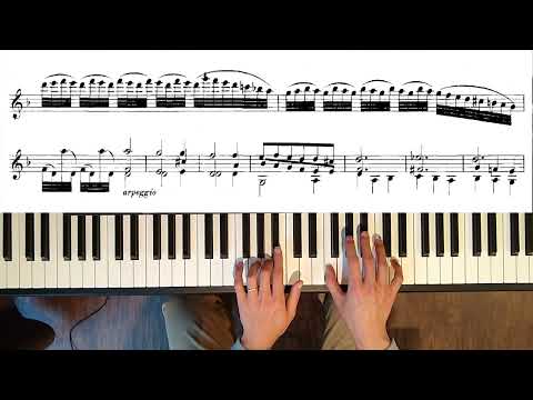 Violin Partita No. 2 in D minor, BWV 1004: 5. Chaconne (piano transcription)