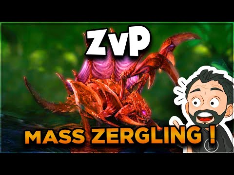 MASS ZERGLING Build Order In ZvP | StarCraft 2