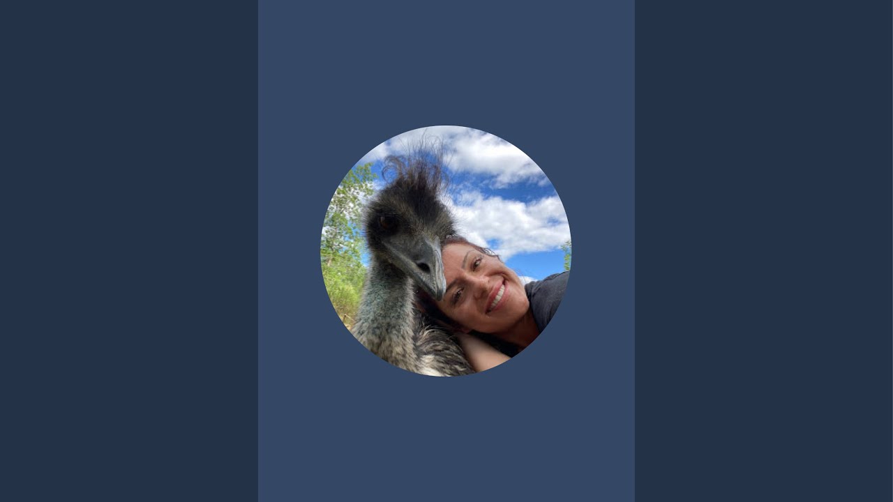 Thursday Post-Blizzard Live