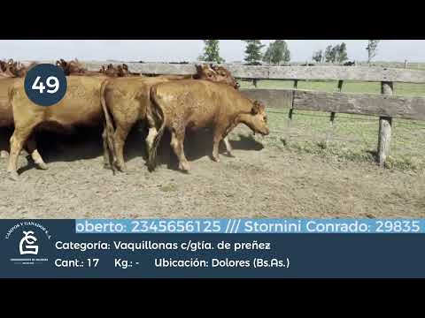 Lote VQ CGP - Dolores Bs As