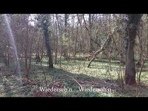 Gott mit Euch bis wir uns wieder seh'n