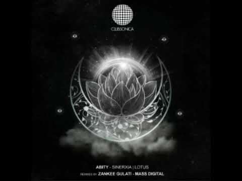 Abity - Sinerxia (Original Mix)