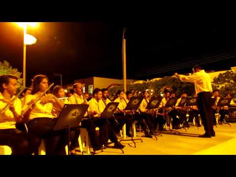 Banda Euterpe Jardinense - Tributo a Elvis Presley