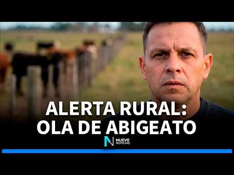 🚨 Alerta en el campo entrerriano: Creciente preocupación por la ola de abigeato en Bovril 🐮