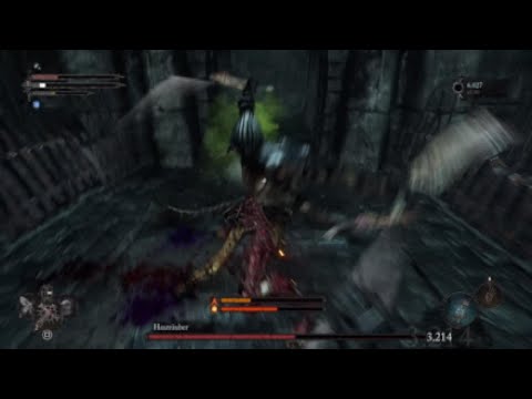 Lords of the fallen|Hauträuber