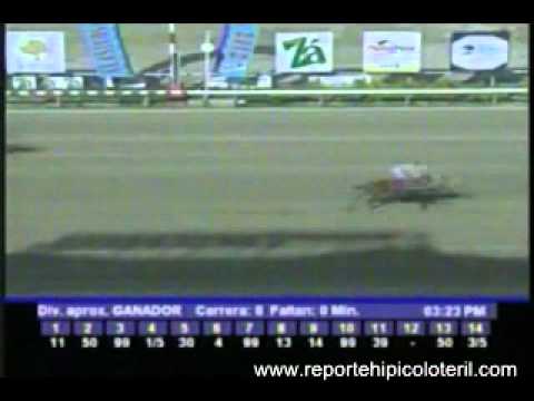 Resumen Domingo 15 de Enero de 2011 - La Rinconada