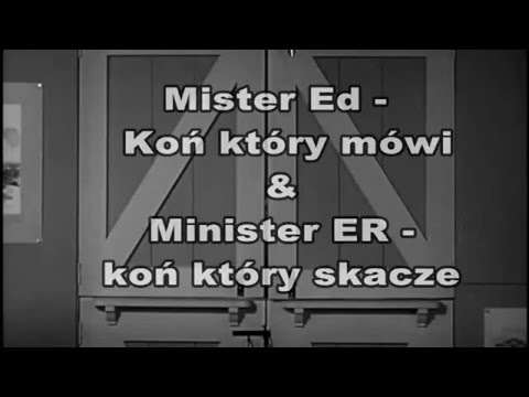 Mister Ed   Koń który mówi & Minister ER koń który skacze