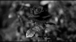 Download lagu KLangit - Sesal Mendua mp3