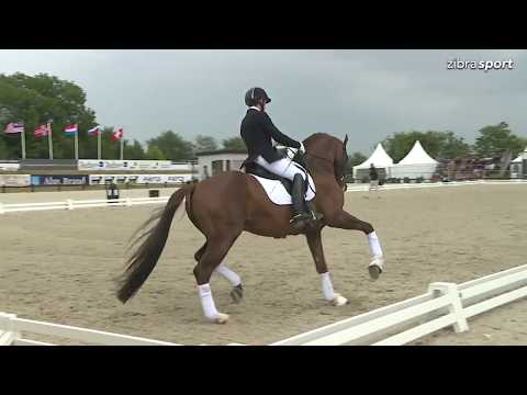 D'Avie - Equitour Aalborg 2018