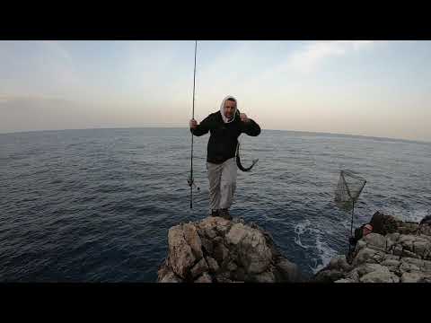 Shore Jigging - Barracuda and Weever fish on jig