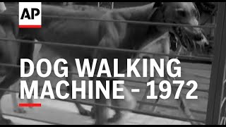 Dog Walking Machine - 1972 | The Archivist Presents | #434