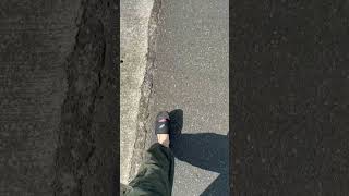 ぼくのなつやすみ