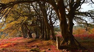 Hidden Northumberland.