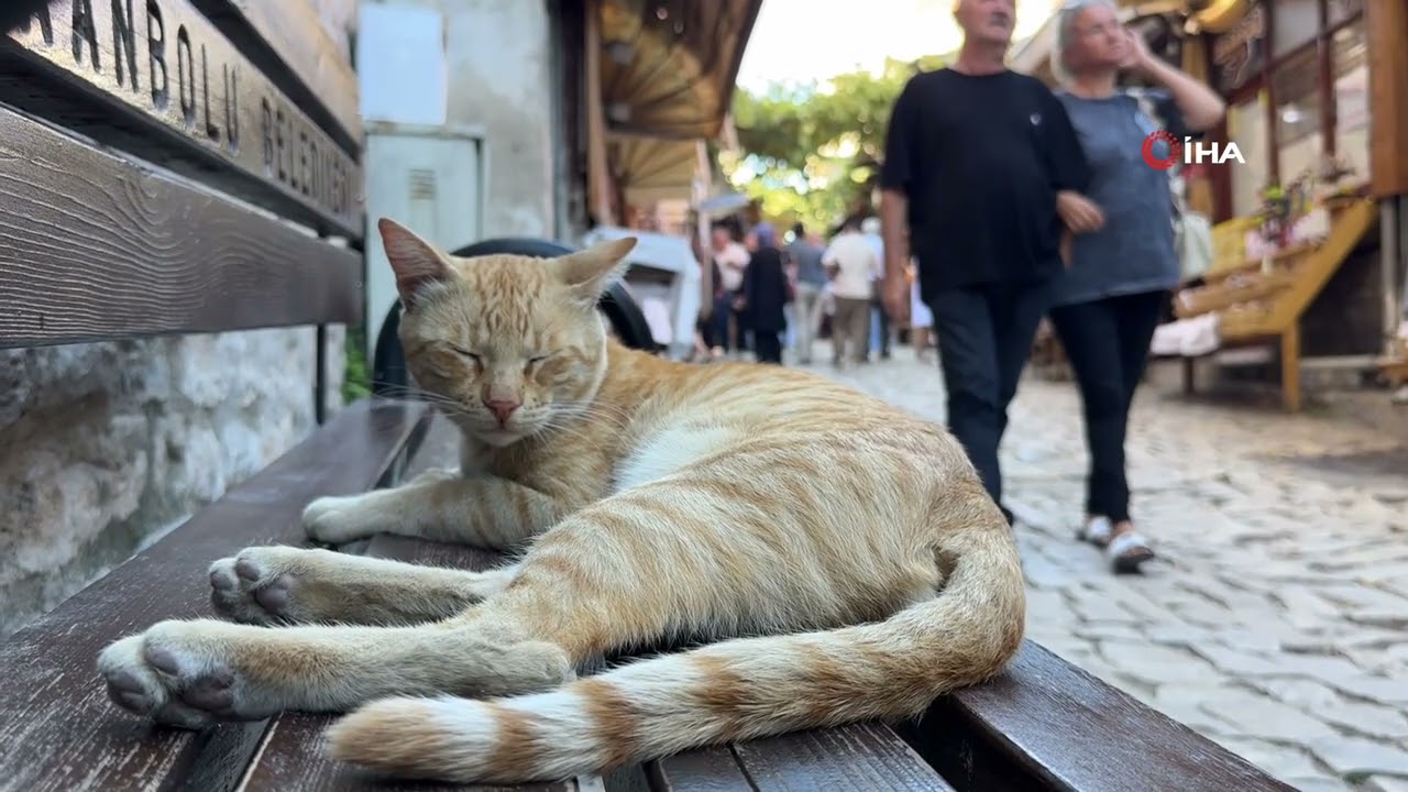 Tarihi sokaklarda hafta sonu hareketliliği