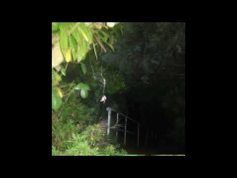 *FREE* deftones x smashing pumpkins x whirr heavy shoegaze type instrumental - "lazy" || + anticøn