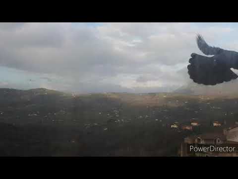 sohni kudrat//Nature//coming spring days PUNJABI'S IN ITALY