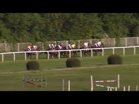 8. dostih - CENA RESTAURACE VELKÁ CHUCHLE - dostihy Velká Chuchle 19. 5. 2019