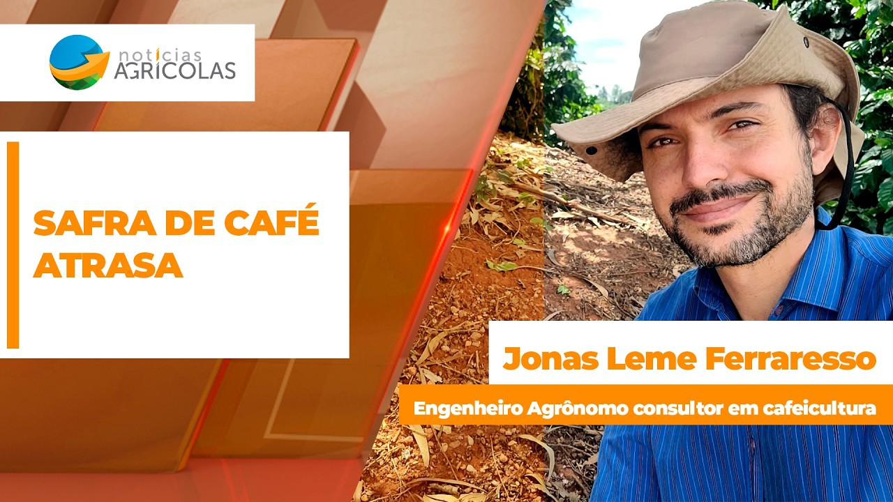 MERCADO E SAFRA DO CAFÉ - EDIÇÃO 01-06-2026