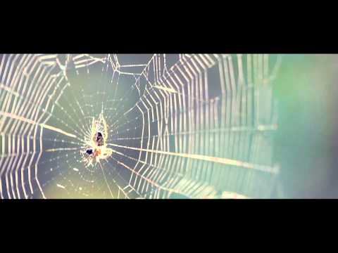 Callan Park Creepiness