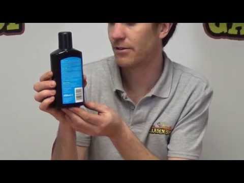 download lagu mp3 mp4 How To Make Winter Tree Wash, download lagu How To Make Winter Tree Wash gratis, unduh video klip How To Make Winter Tree Wash